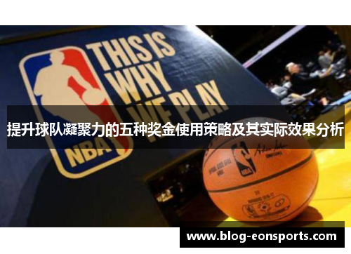 提升球队凝聚力的五种奖金使用策略及其实际效果分析